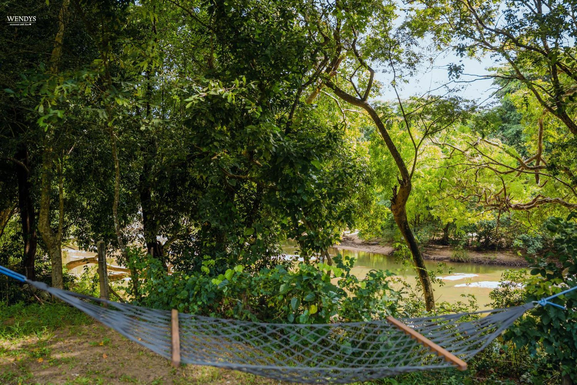 הוילה קורונגאלה Rivendell Twisted Tree מראה חיצוני תמונה